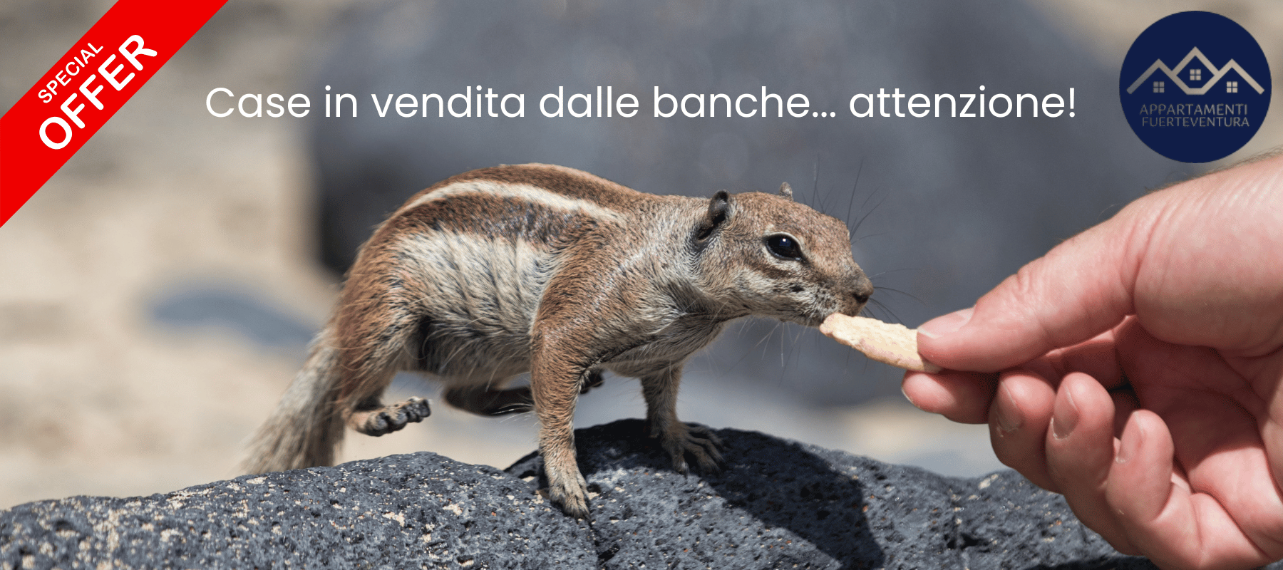 Case in vendita dalle banche a Fuerteventura